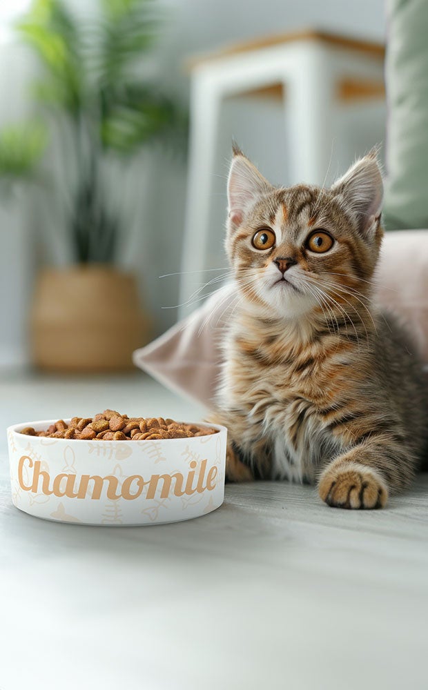 Category Slider - Custom Printed Ceramic Pet Bowls