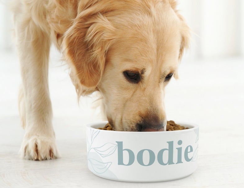 Shop Personalized Pet Gifts And Accessories