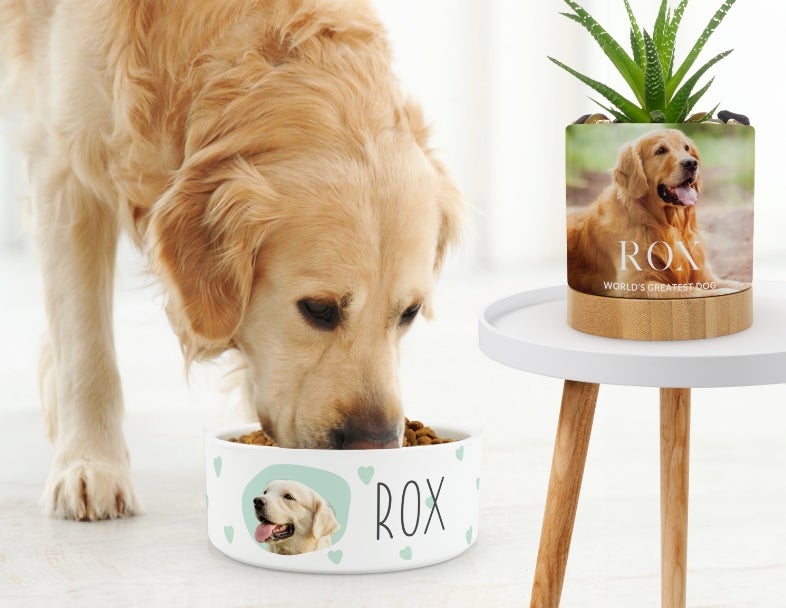 Shop Pet Photo Gifts And Accessories